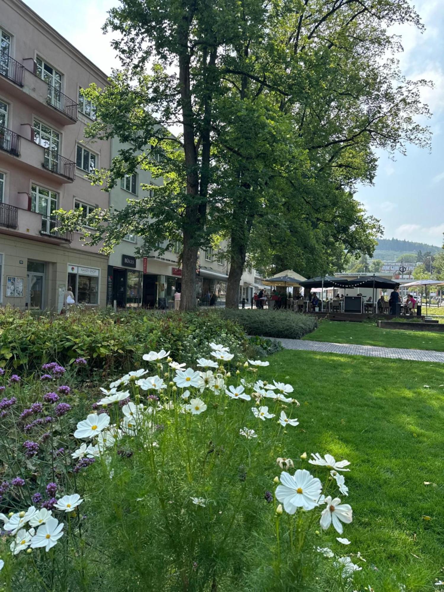 Rezidence Sadova Apartment *